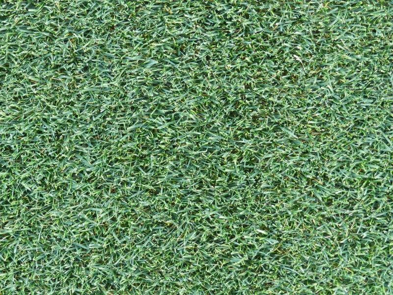 Il sistema ibrido PowerGrass quando raggiunge la densità desiderata